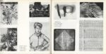 1967 Documenti di grafica contemporanea Grafica 64